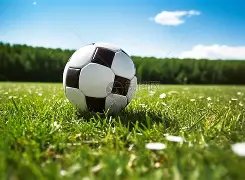 薛思佳提醒,轻视核心问,题或酿成类,开云集团,企业品牌资讯,集团信息平台,企业新闻动态,品牌资讯